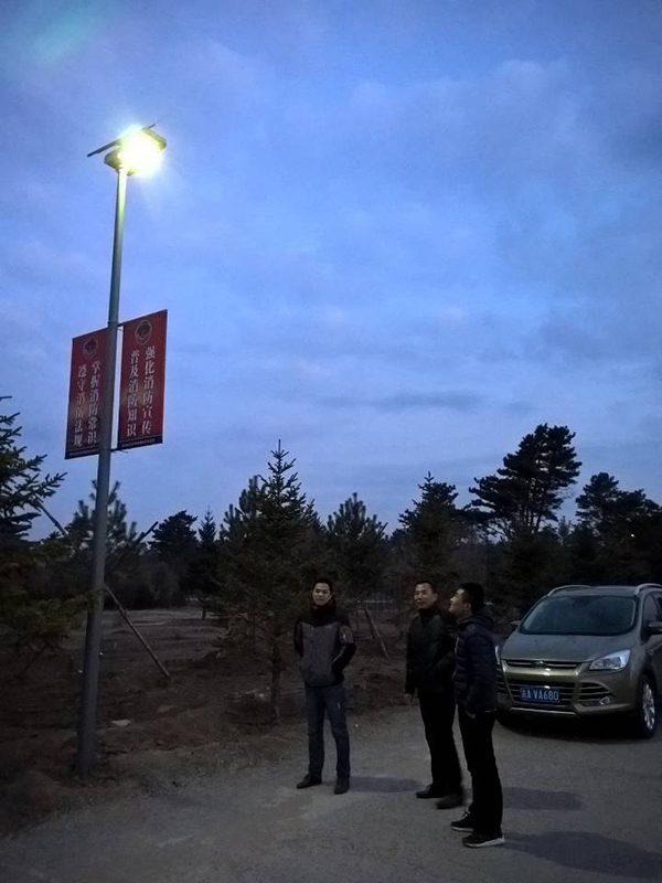 太陽(yáng)能路燈，太陽(yáng)能路燈廠家，太陽(yáng)能路燈價(jià)格